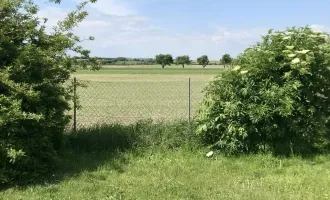 Grundstück mit guter Anbindung in Gerasdorf Oberlisse! Nur 400m von der Wiener Stadtgrenze!