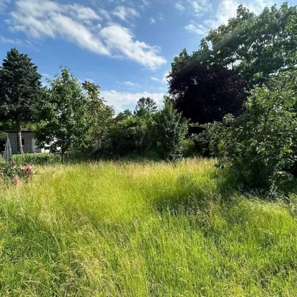 ++Top Baugrund mit Baustudie für erziebarer WNF von 880m²  exkl. Freiflächen ++ - Bild 2