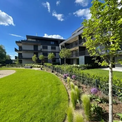 Premium Garden Suites Achau, Top Ausstattung, tolle Öffi Anbindung - Bild 3