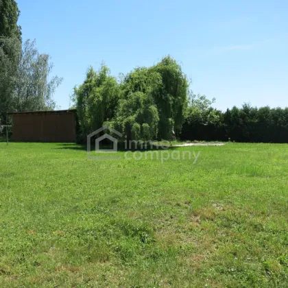 Ca. 2.227 großes Grundstück im größten Kurort Burgenlands inkl. Baugenehmigung - Bild 3