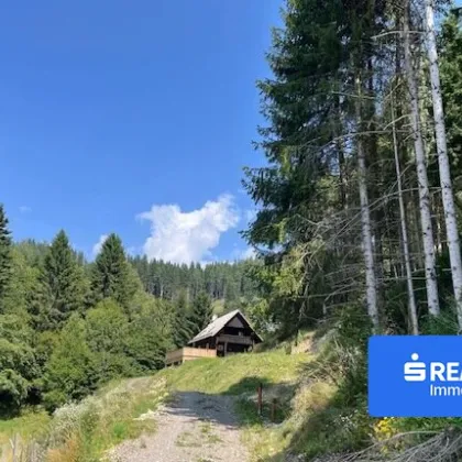 Ihr Rückzugsort in den Bergen "Almhaus Sonnblick" in Alleinlage Nähe Schi- und Erholungsgebiet Klippitztörl - Bild 2