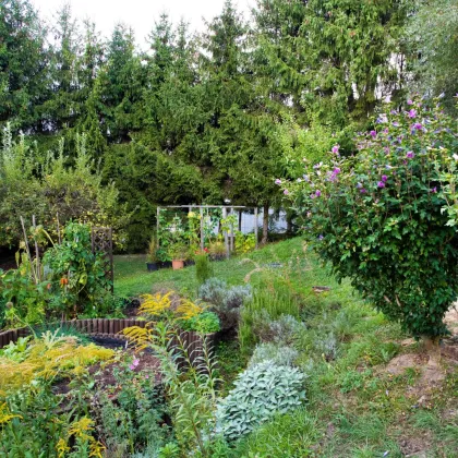 Niedrigenergiehaus mit Garten und Fernblick ins Grüne - Bild 3