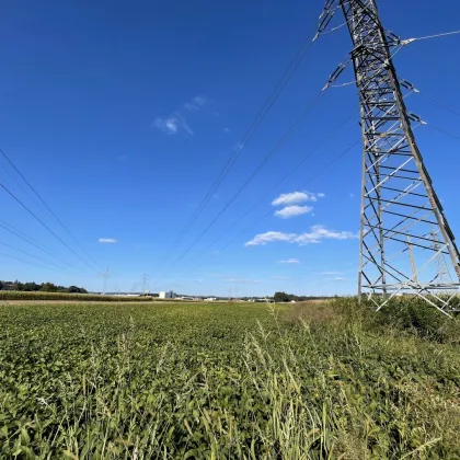 TOLLE GELEGENHEIT! Gewerbegrundstück für SIE - GEWERBEGRUNDSTÜCK 0,3 - 2,0 Dichte mit direkter Nähe zur Autobahn und zur Eisenbahn! - Bild 2