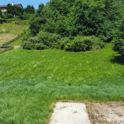 Naturnah wohnen mit Weitblick – Traumhaftes Grundstück - Bild 3