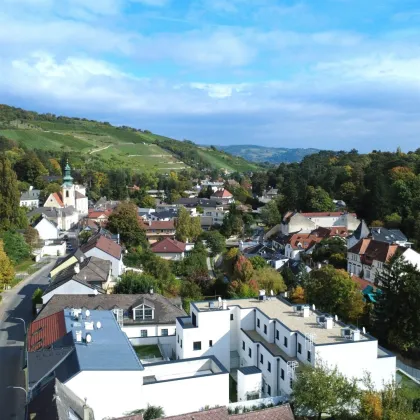 LEBENSQUALITÄT MIT AUSSICHT - EXKLUSIVES TOWNHAUS AUF EIGENGRUND IN WEIDLING – NATURNAHES WOHNEN MIT STIL - Bild 3