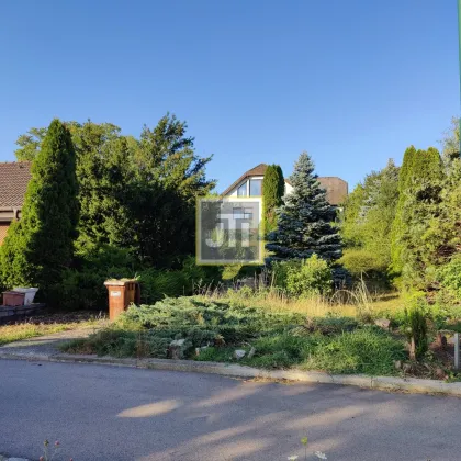 Großes Grundstück mit Einfamilienhaus und unverbaubaren Weitblick! - Bild 3