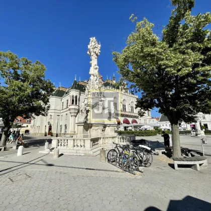 Ruhige moderne 4-Zimmer-Wohnung Nähe Hauptplatz in Korneuburg! - Bild 3