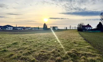 Baugrundstück mit 1.577 m² ruhig und sonnig gelegen am Ortsrand von Großwarasdorf