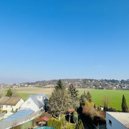 1953m² Grundstücksfläche - direkt am Bisamberg - Stadtvilla mit parkartigen Garten - privat Zugang zum Wald - Grünblick - Ruhelage - Bild 3