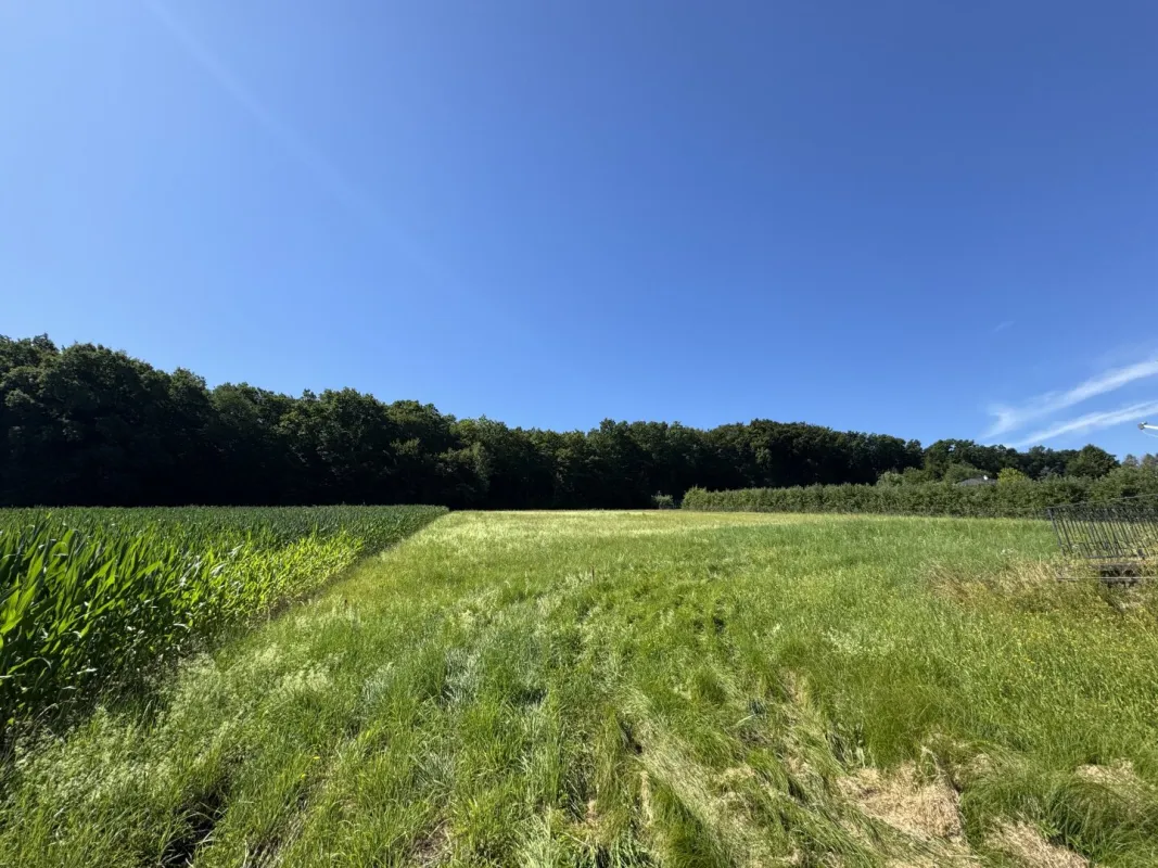 Traumhaftes Baugrundstück in sonniger Lage – flexibel teilbar von ca. 900 m² bis 4.500 m² - Bild 1