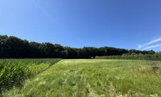Traumhaftes Baugrundstück in sonniger Lage – flexibel teilbar von ca. 900 m² bis 4.500 m²