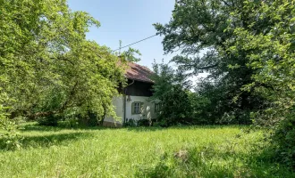 LINZ ZAUBERTAL. CHARMANTES GRUNDSTÜCK FÜR PLANUNG MIT WEITBLICK