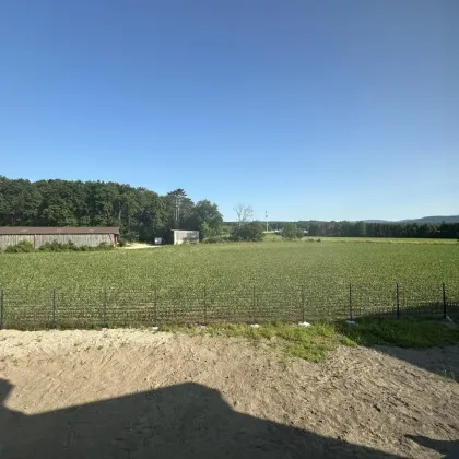 Massivhaus in Baumeisterqualität, Top-Ausstattung, Option zum Mietkauf! - Bild 3