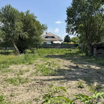 Schwarzlackenau | Eigentums-Baugrund | 576m² | unbebaut - Bild 2