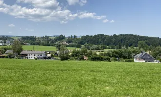 Einfamilienhausersatz- Eigenheim macht glücklich! Erstbezug in Vöcklamarkt - Haus B