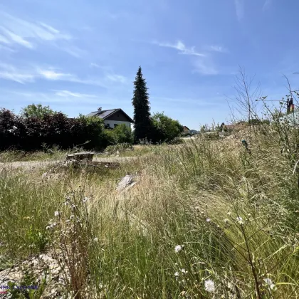 Top Lage - Top Preis - nahe Salzburg in Kirchberg b. Mattighofen - Bild 2