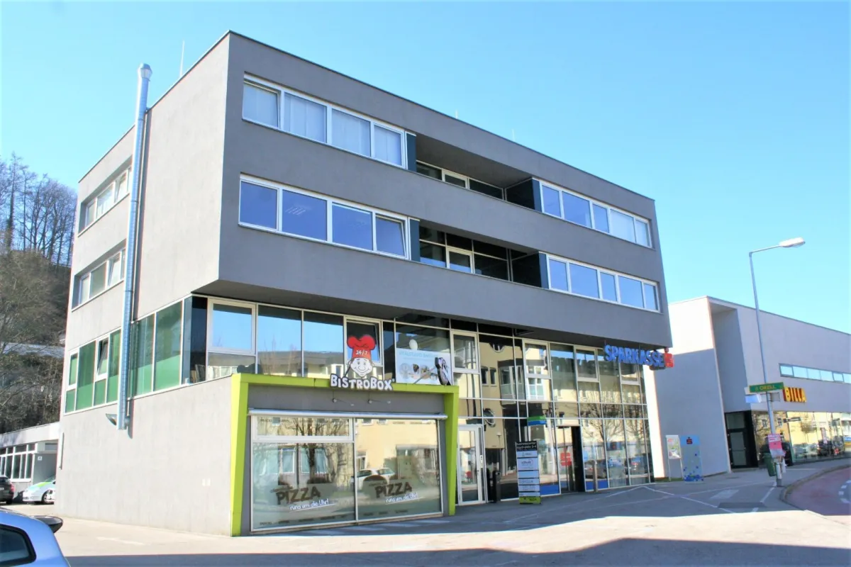Helle, klimatisierte Büroflächen Thalheim bei Wels - Bild 1