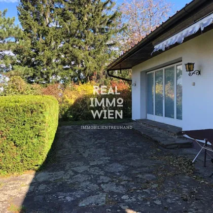 Tulbinger Kogel Bungalow in Traumruhelage - Bild 3