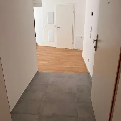 Modernes Atelier zur Miete – Kierlingerstraße 118–122, Klosterneuburg - nur zur gewerblichen  Nutzung/ K118 Top 20 - Bild 2