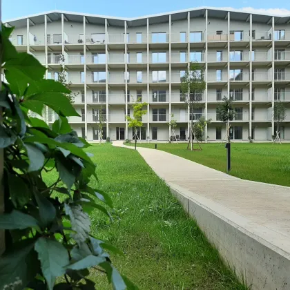 Hochwertige 3 Zimmerwohnung mit Balkon: Smart City Süd Top 227 - Bild 2