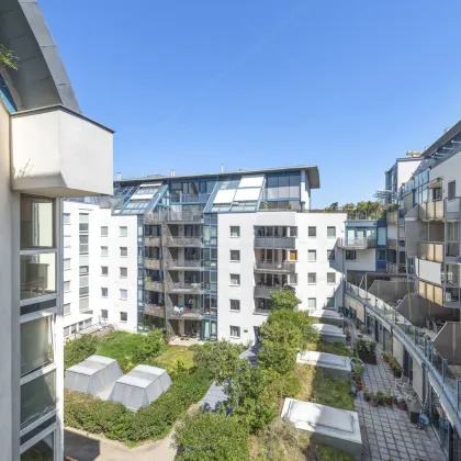 Helle und großzügige 3-Zimmer Neubauwohnung in Kagran - Bild 2