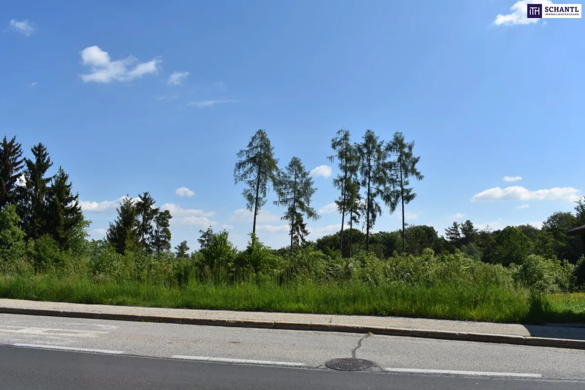 Wunderbares Bauträgergrundstück in Bestlage Nähe 8301 Laßnitzhöhe - Bild 1