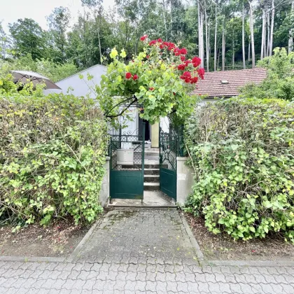 CHARMANTES EINFAMILIENHAUS IN RUHELAGE - Bild 2