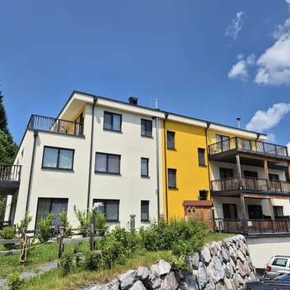 Multifunktionales Premium-Objekt  – Schönheitsklinik, Arztpraxis, Penthouseprivatwohnung & Ferienvermietung etc,etc - Bild 2