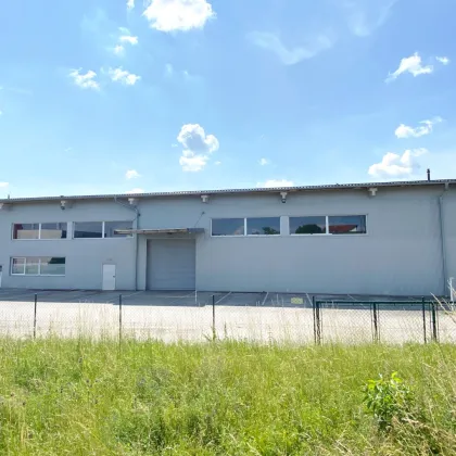 Halle für Lager und/oder Produktion - zentrale Lage Nähe B1 und A25 - Bild 2
