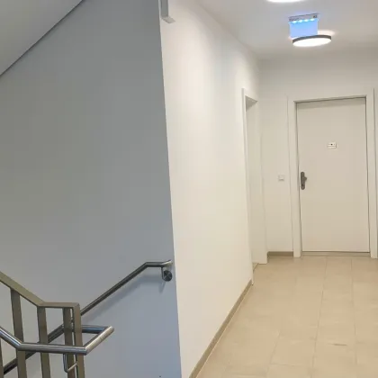 3 Zimmer I Eigengarten I Erstbezug - Bild 2