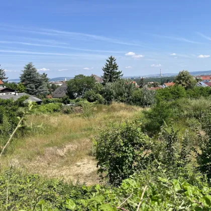 RARITÄT - begehrter Baugrund (Baurecht) in ruhiger Aussichtslage am Fusse des Wienerwald _ Sie werden es lieben - Bild 3