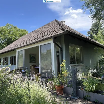 1220 Wien - Großzügiger Bungalow mit Wintergarten und zwei Wohneinheiten auf Grundstück mit 1.486 m² und 2 Wohnhäusern - Bild 2