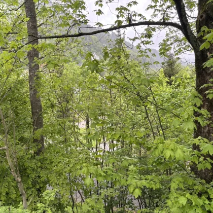 Grundstück mit Fernblick - Bild 3