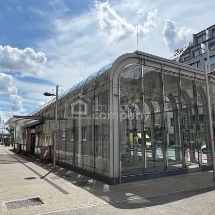 ERSTBEZUG nach Renovierung - DIREKT bei U1 - PROVISIONSFREI !!! - Bild 2