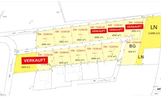 Grundstück 1239/32 – 868 m² BG + 1499 m² LN