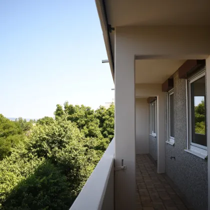 Moderne 4-Zimmer-Wohnung mit Loggia in Wiener Neudorf – Familienhit - Bild 3