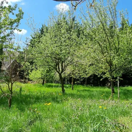 Wildromantisches Grundstück mit charmanten Bauerhof! - Bild 3
