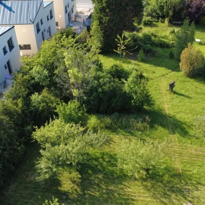 Grundstück mit Hanglage und herrlichem Ausblick in Altlengbach - Bild 3