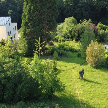 Grundstück mit Hanglage und herrlichem Ausblick in Altlengbach - Bild 2