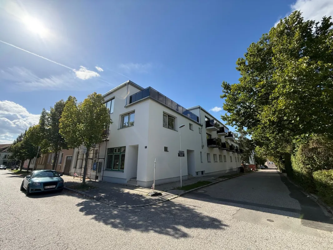 Exklusive, lichtdurchflutete Wohnung mit 2 Terrassen! - Bild 1