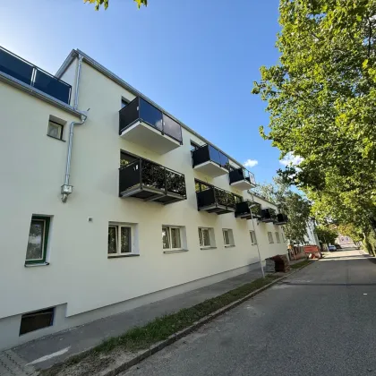 Stilvolle Neubauwohnung mit Freiraum und durchdachtem Grundriss! - Bild 3