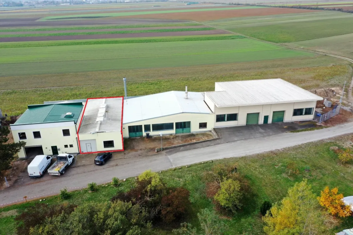 Produktions - oder Lagerhalle Nr. 1 - Bild 1