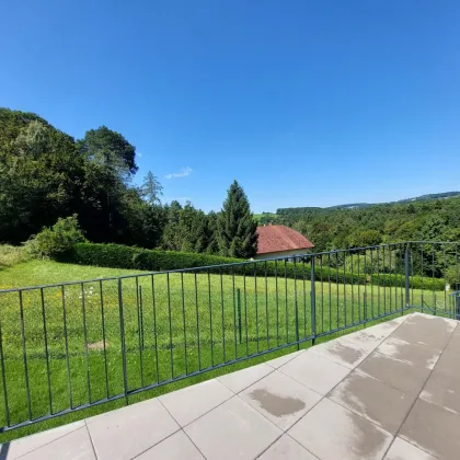 Belagsfertige Doppelhäuser inkl. 2 Garagenplätze in traumhafter Aussichtslage nähe Wien - Bild 3