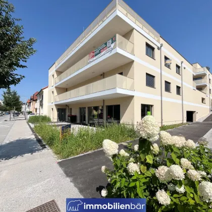 Wohnen im Zentrum von Grieskirchen - Top 5 Haus Zauneggerstraße / 2 Zimmerwohnung mit traumhafter Aussicht - Bild 2