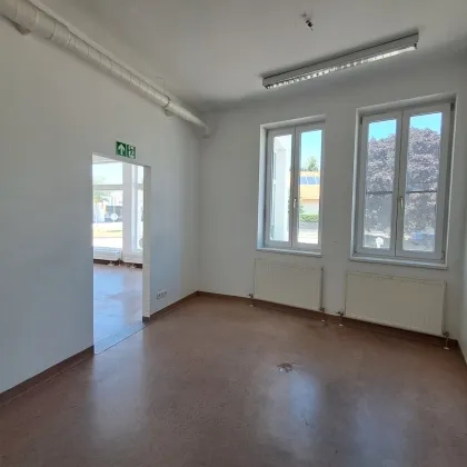Attraktive Gewerbefläche in Traiskirchen mit vielfältigen Nutzungsmöglichkeiten - Bild 3