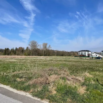 500 - 750 m² Baugrundstücke für Eigenheim in Mattighofen - Bild 3