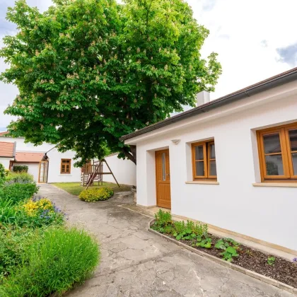 TRAUSDORF  Exklusiver Streckhof mit Yogahaus – Wohnoase & Arbeitsraum mit Stil in Trausdorf an der Wulka - Bild 3