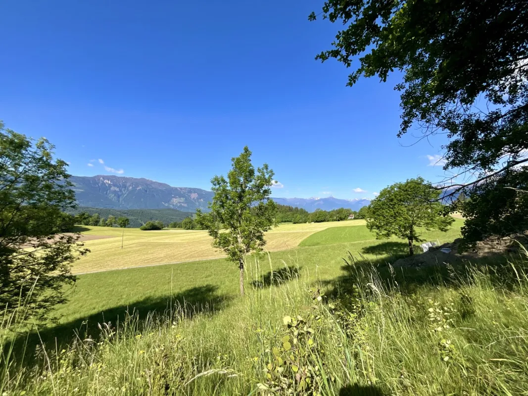 ATEMBERAUBENDES HANGGRUNDSTÜCK MIT EINEM FANTASTISCHEN BLICK IN DIE FERNE! NÄHE GOLFPLATZ UND MILLSTÄTTER SEE! - Bild 1