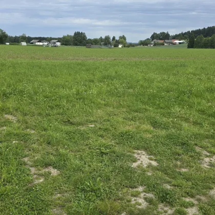 Attraktives Baugrundstück für Ihr Eigenheim oder als Geldparkplatz ! - Bild 2