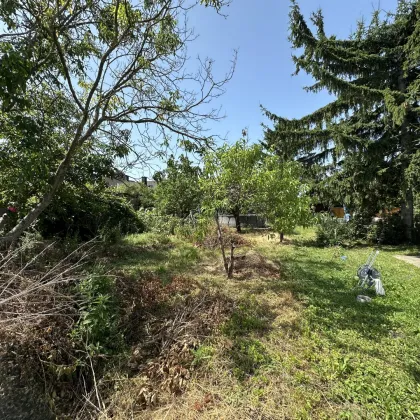 Baugrund in Ruhelage – Kein Bauzwang - Bild 2